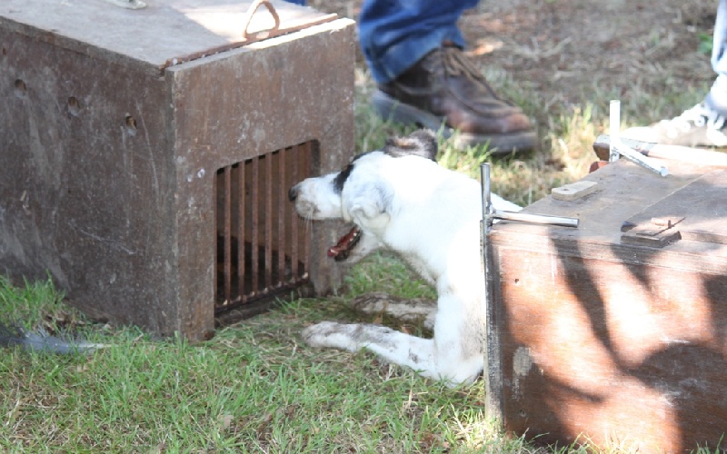 Eden park du Manoir Saint Adrien - 138.50/150 points classe ouverte "contact"