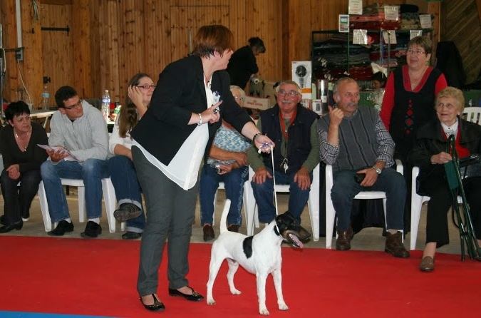 CH. Fantastic du Manoir Saint Adrien - Excellent + 92.75/100 points