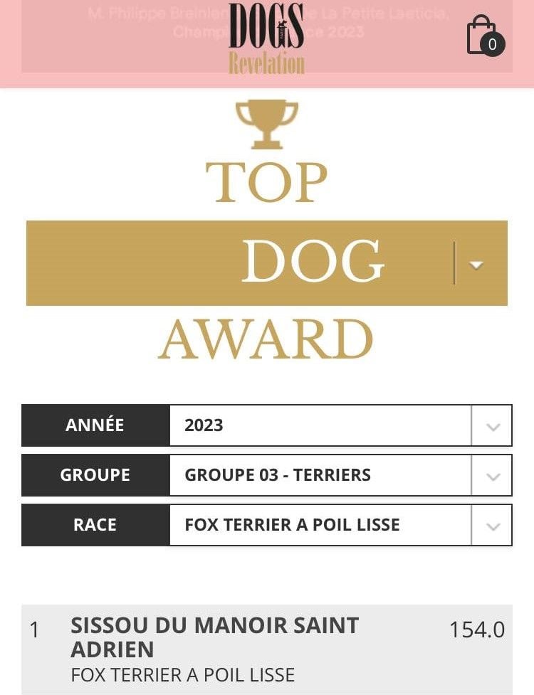CH. Sissou du Manoir Saint Adrien - TOP DOG AWARD 2023 - MEILLEUR CHIEN ANNEE 2023 - BEAUTE