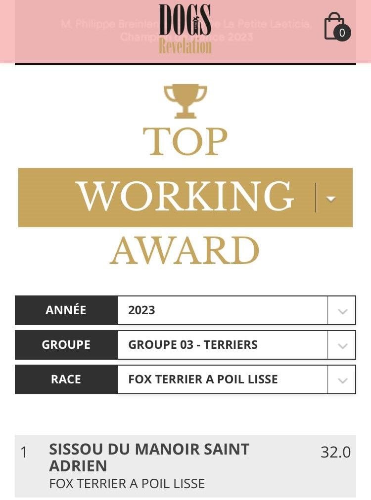 CH. Sissou du Manoir Saint Adrien - TOP WORKING AWARD 2023 - MEILLEUR CHIEN TRAVAIL - ANNEE 2023