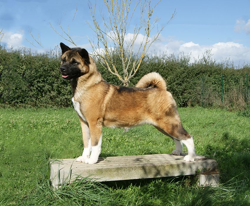 Trax rand park de Milantosa