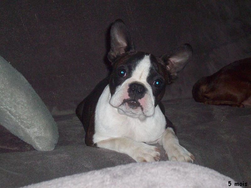 I'm joy de Milantosa