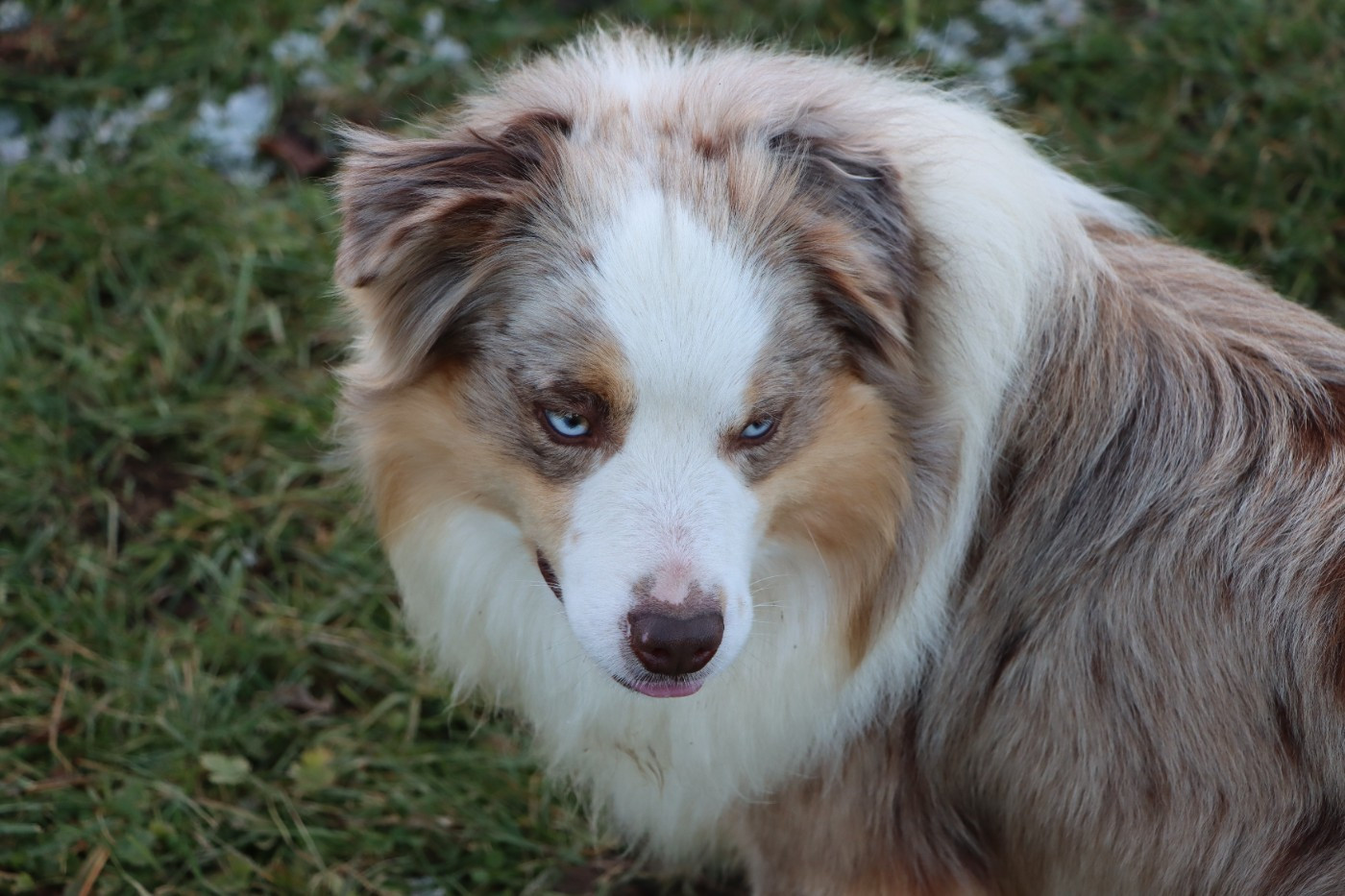 Vivaldi De L'Atoll De Tikéhau