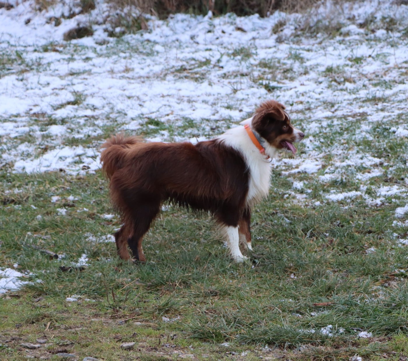 Vahiné du Domaine de la Pachamama