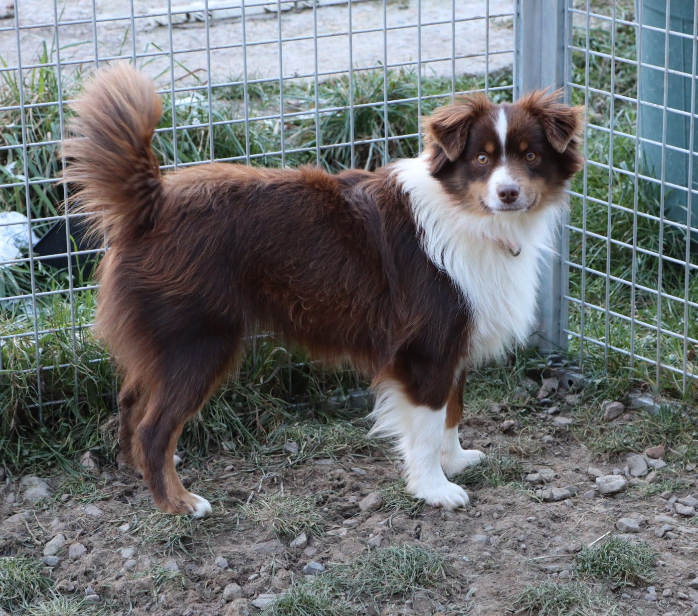 Vahiné du Domaine de la Pachamama