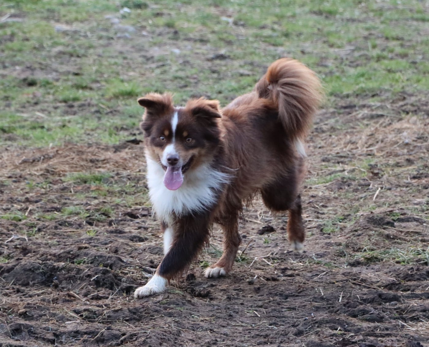 Vahiné du Domaine de la Pachamama