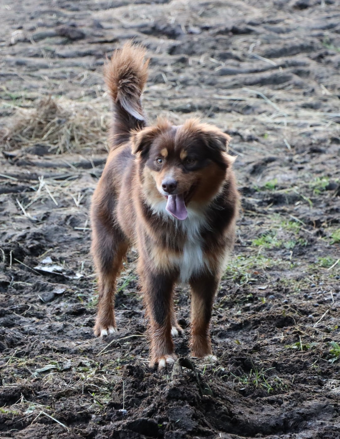 Vésuve du Domaine de la Pachamama