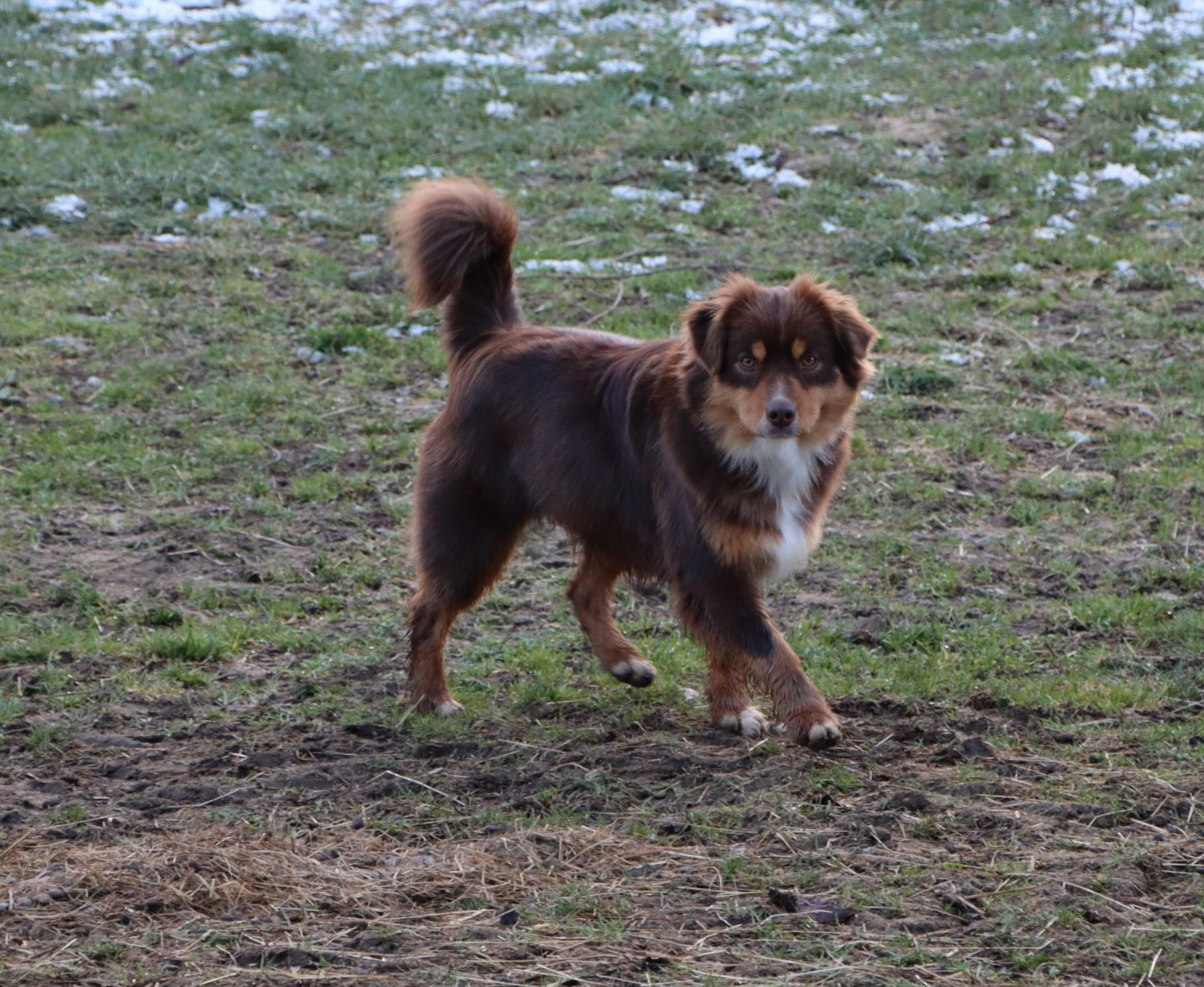 Vésuve du Domaine de la Pachamama