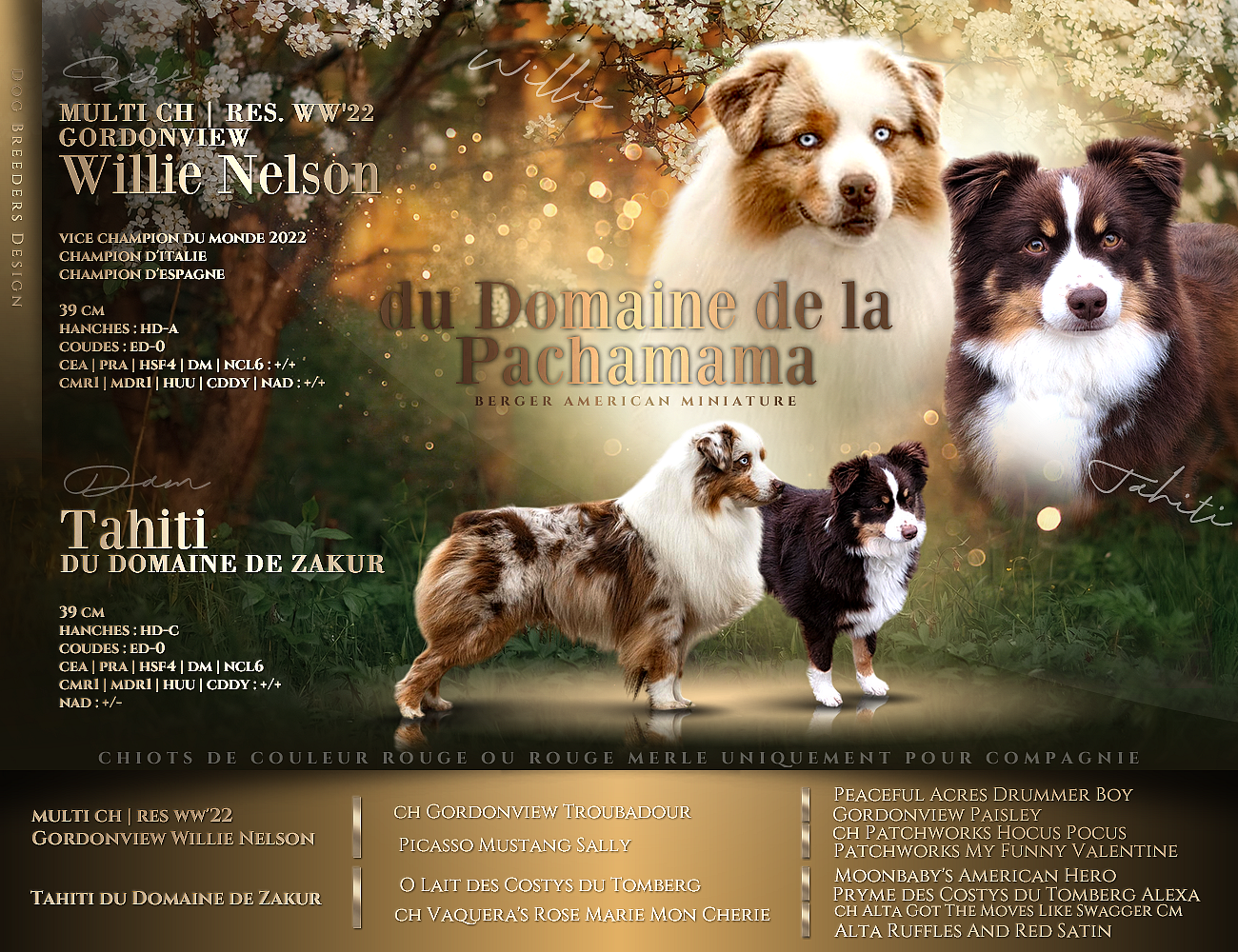 Vahiné du Domaine de la Pachamama