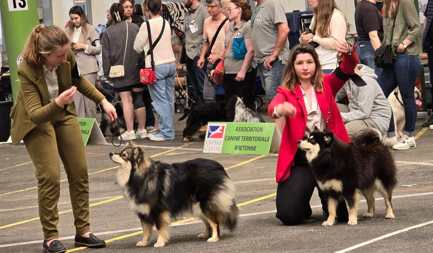 Urka du Mont de Saana