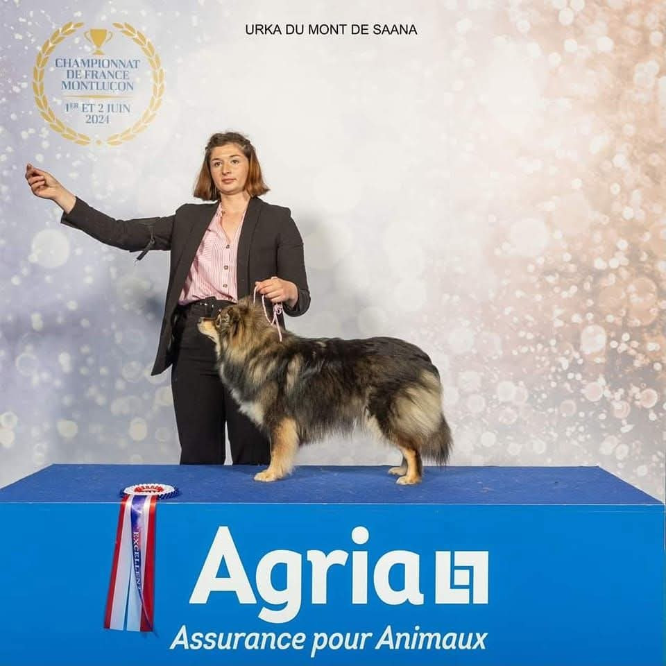 Urka du Mont de Saana