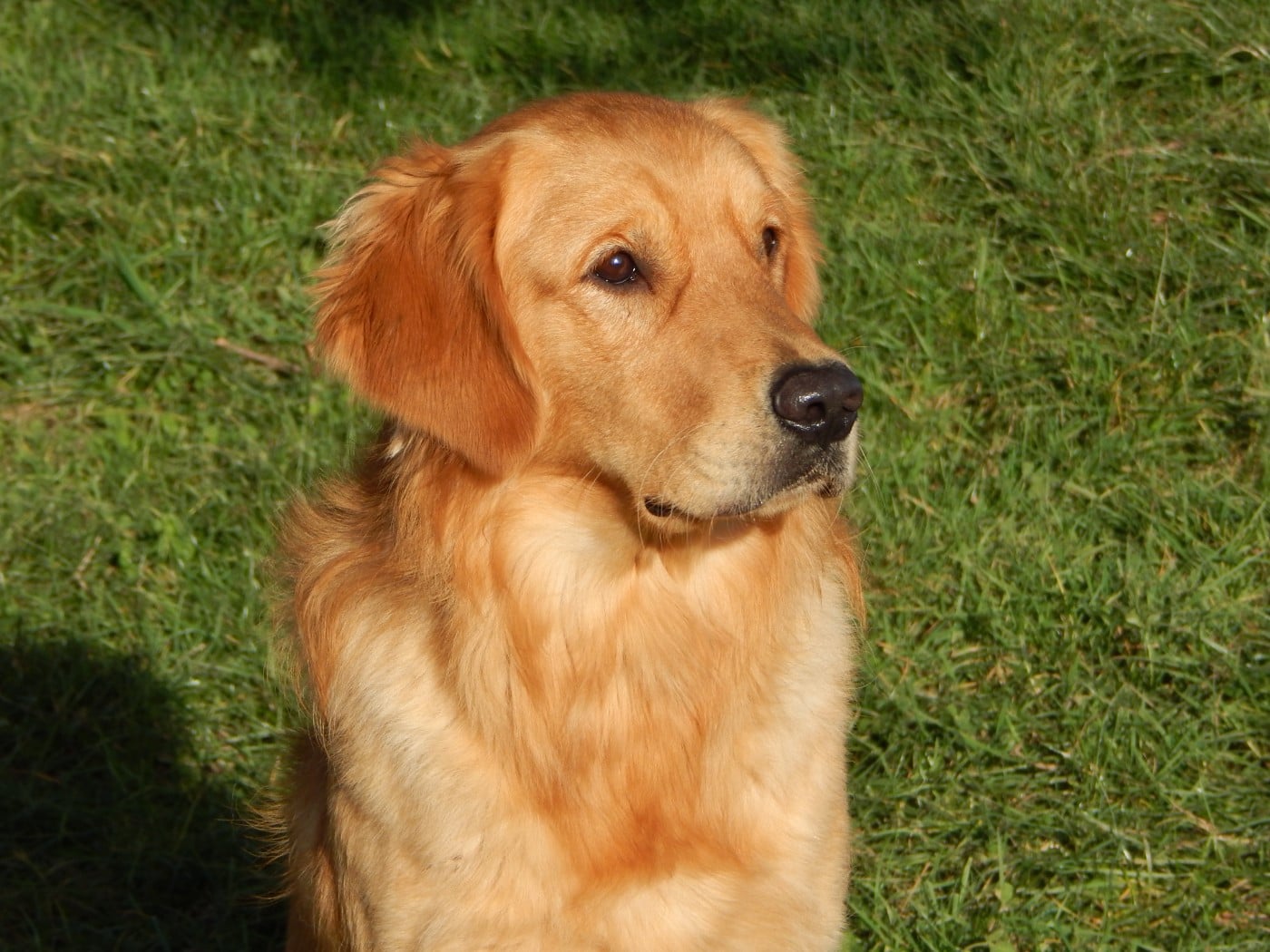 VADIM D'Aspe & D'Ossau