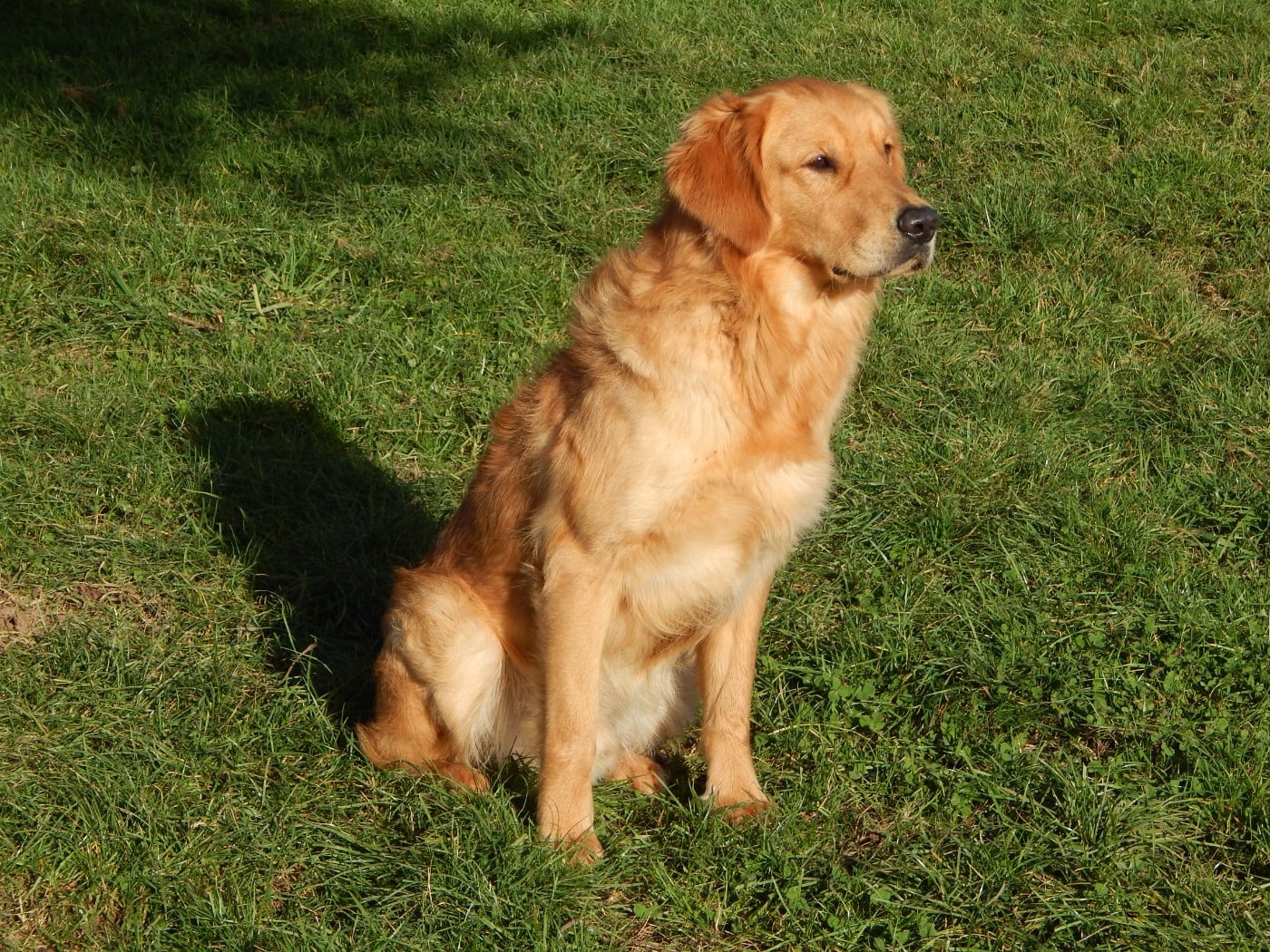 VADIM D'Aspe & D'Ossau