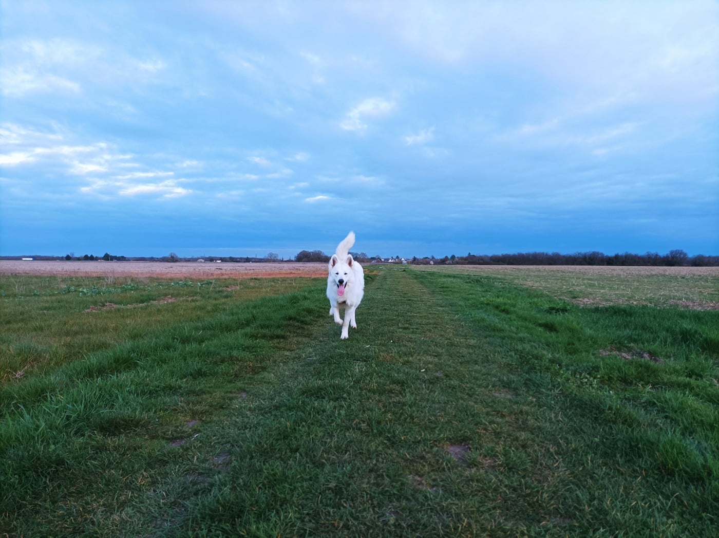 Publication : De La Croix Naudin