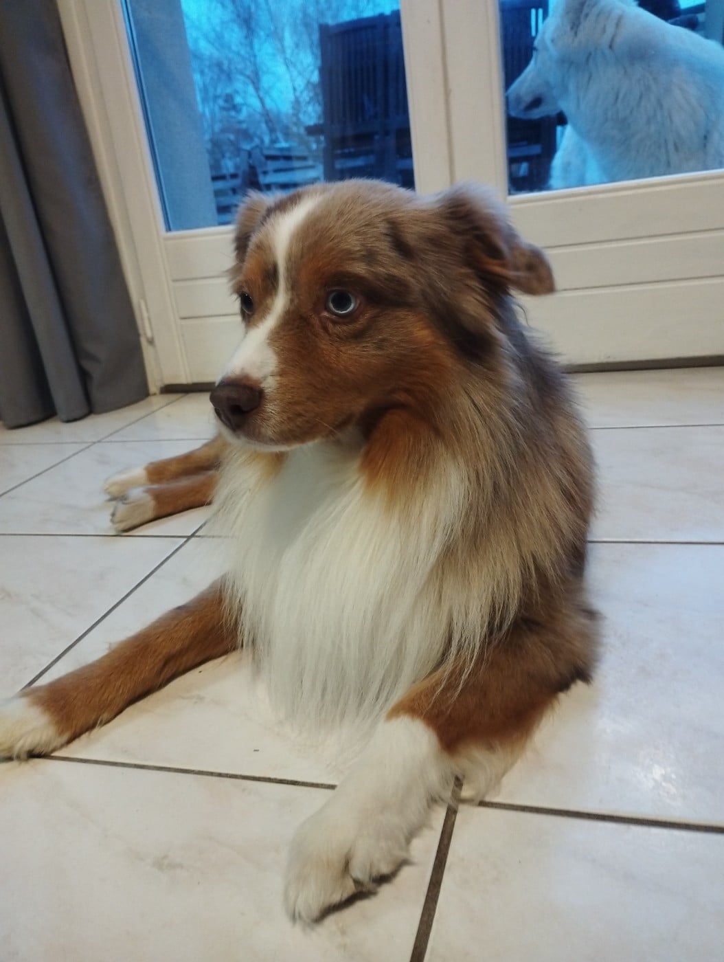 Tiloé au hasard d'éole