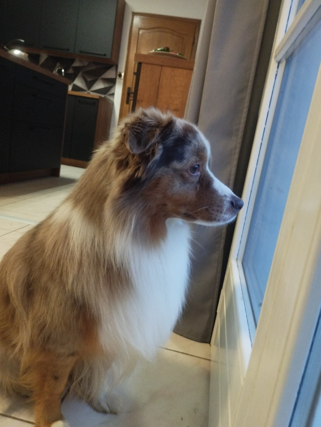 Tiloé au hasard d'éole