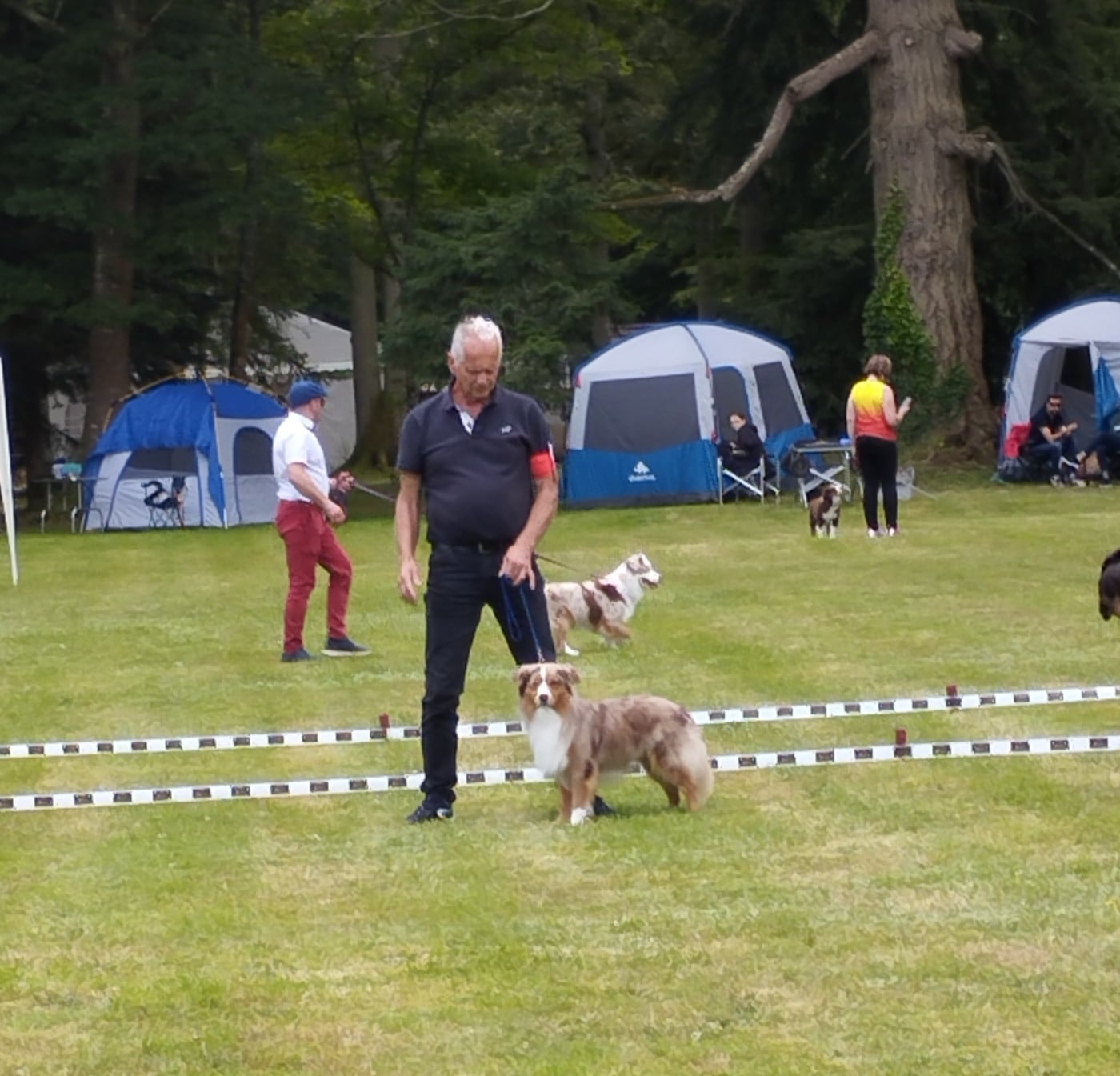 Tiloé au hasard d'éole