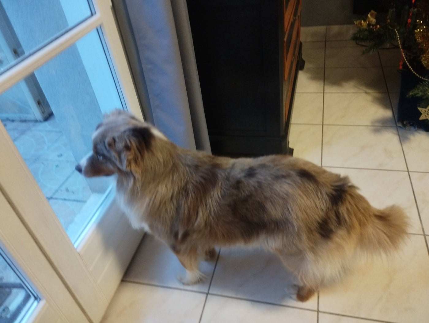 Tiloé au hasard d'éole