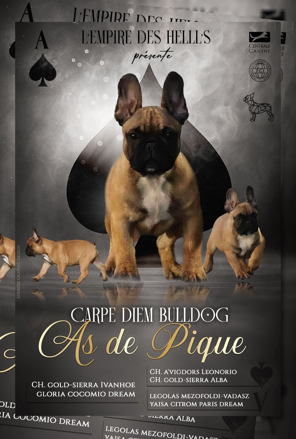 carpe diem bulldog AS DE PIQUE