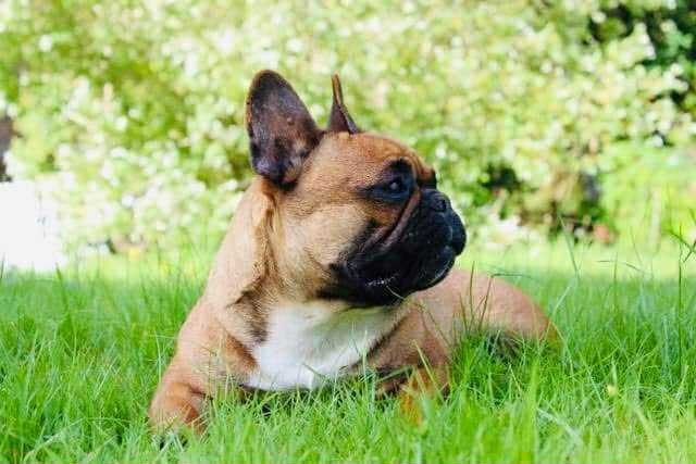 Romane des Seigneurs de l'Odyssée