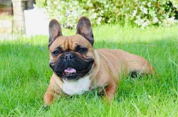 Romane des Seigneurs de l'Odyssée