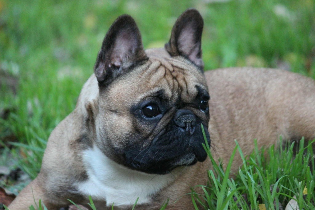 Une si belle romance de l'Empire des Hellls