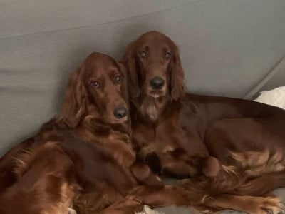 du chateau de l'arpenteur