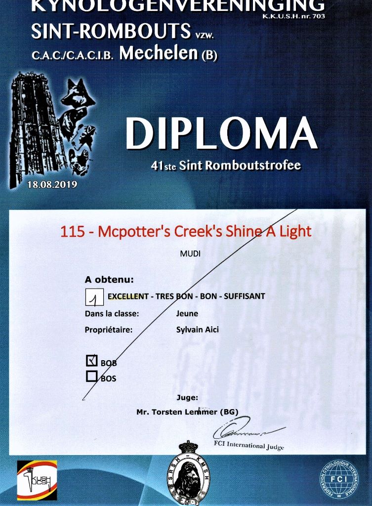 mcpotter's creek's Shine a light - 1er Excellent, Meilleur jeune, Meilleur de race