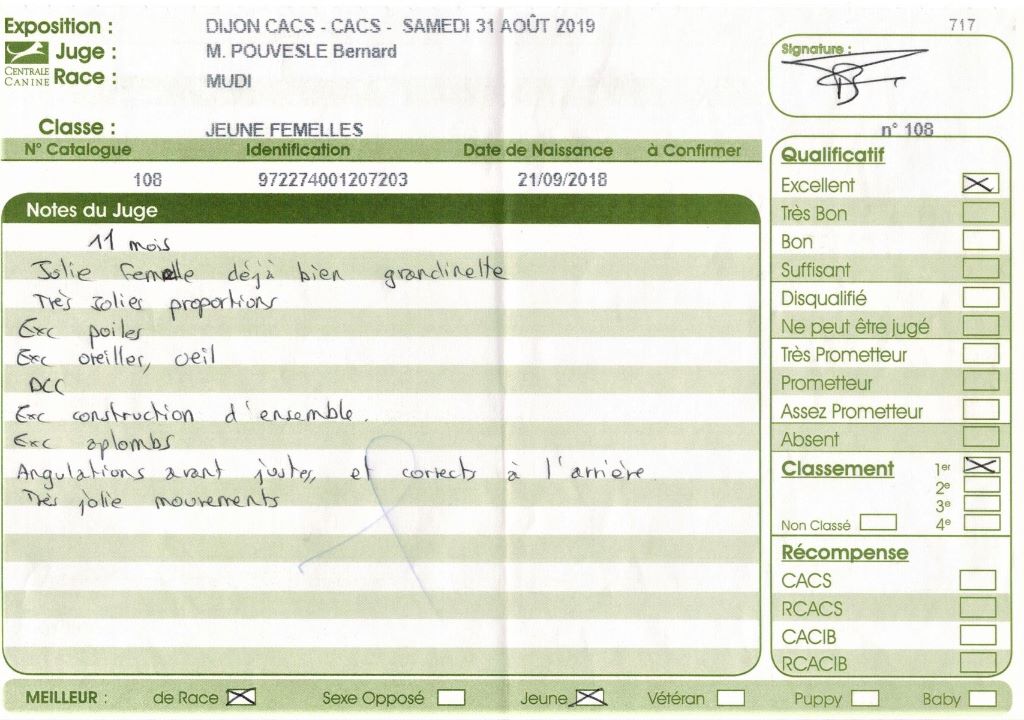 mcpotter's creek's Shine a light - 1er Excellent, Meilleur jeune, Meilleur de race