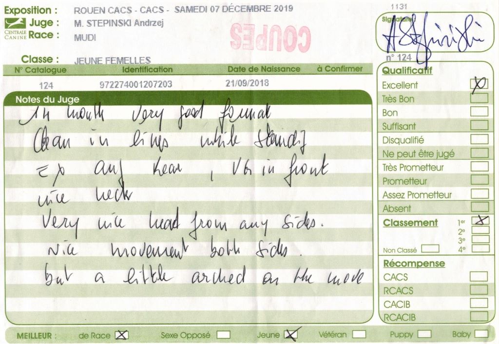 mcpotter's creek's Shine a light - 1er Excellent, Meilleur jeune, Meilleur de race