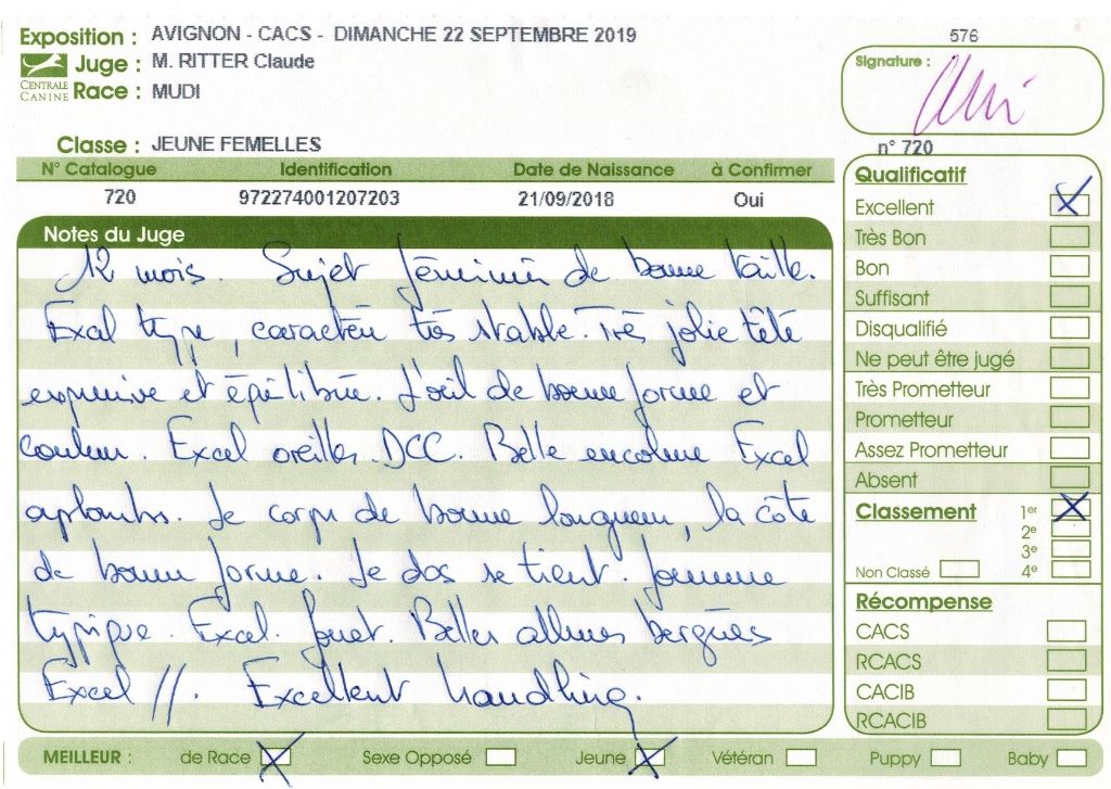 mcpotter's creek's Shine a light - 1er Excellent, Meilleur jeune, Meilleur de race