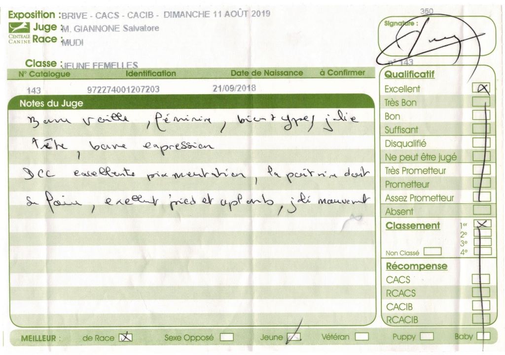 mcpotter's creek's Shine a light - 1er Excellent, Meilleur jeune, Meilleur de race, BOG3 jeune