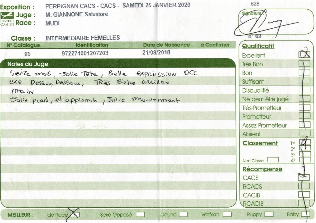 mcpotter's creek's Shine a light - 1er Excellent, CACS, Meilleure de race