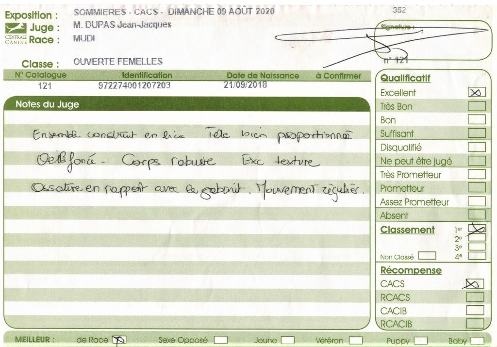 mcpotter's creek's Shine a light - 1er Excellent, CACS, Meilleure de race