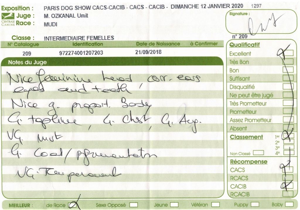 mcpotter's creek's Shine a light - 1er Excellent, CACS, CACIB, Meilleure de race