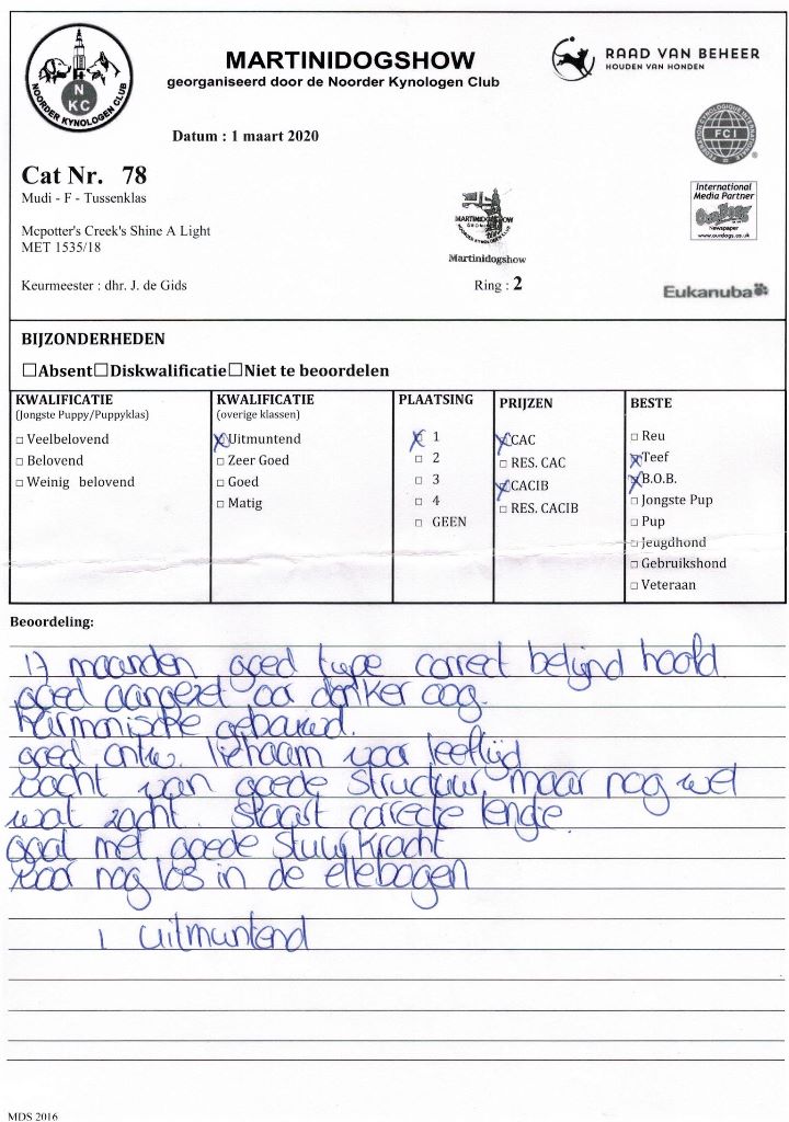 mcpotter's creek's Shine a light - 1er Excellent , CACS, CACIB, Meilleur de race