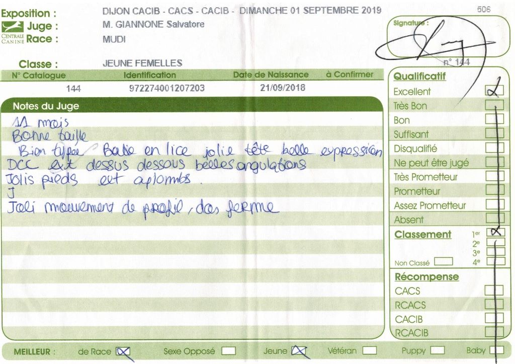 mcpotter's creek's Shine a light - 1er Excellent, Meilleur jeune, Meilleur de race