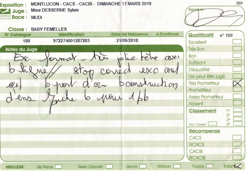 mcpotter's creek's Shine a light - Très prometteur , Meilleur Baby