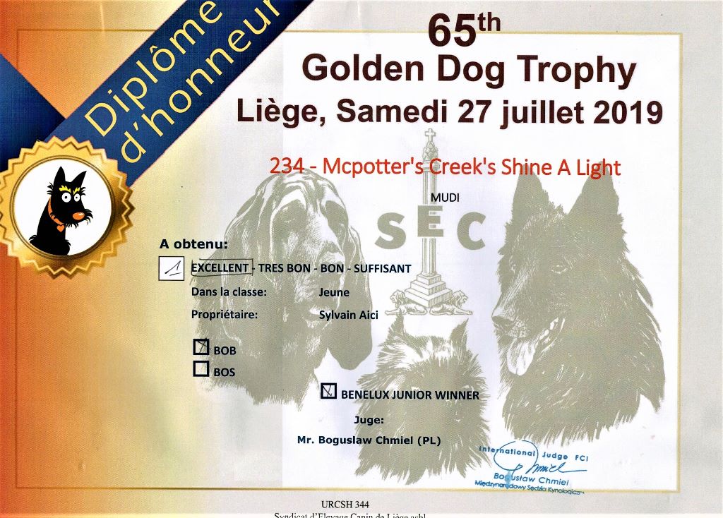 mcpotter's creek's Shine a light - 1er Excellent, Meilleur jeune, Meilleur de race, Benelux junior winner