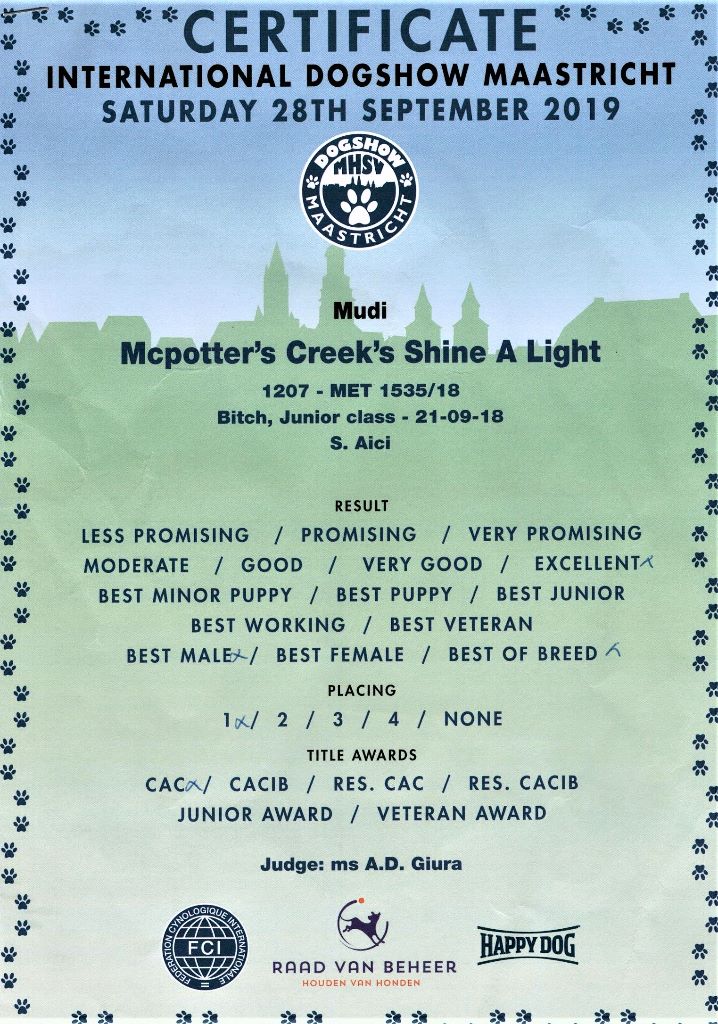 mcpotter's creek's Shine a light - 1er Excellent, CAC, Meilleur jeune, Meilleure de Race