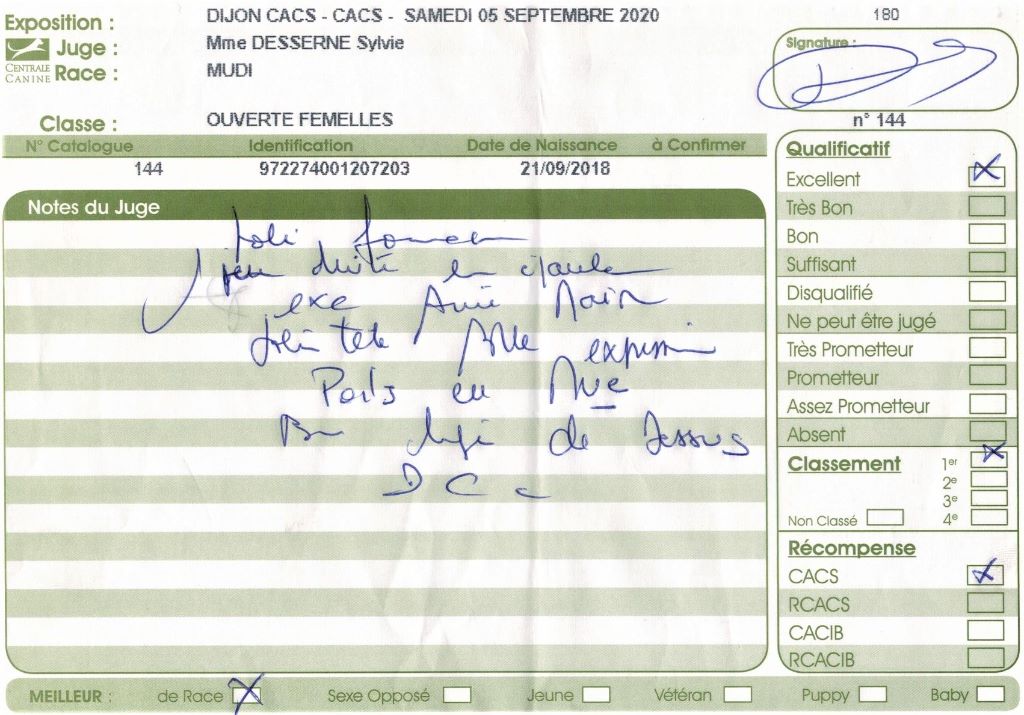 mcpotter's creek's Shine a light - 1er Excellent, CACS, Meilleure de race