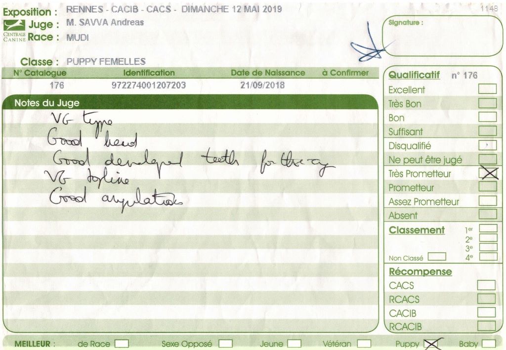 mcpotter's creek's Shine a light - Très prometteur , Meilleur Puppy