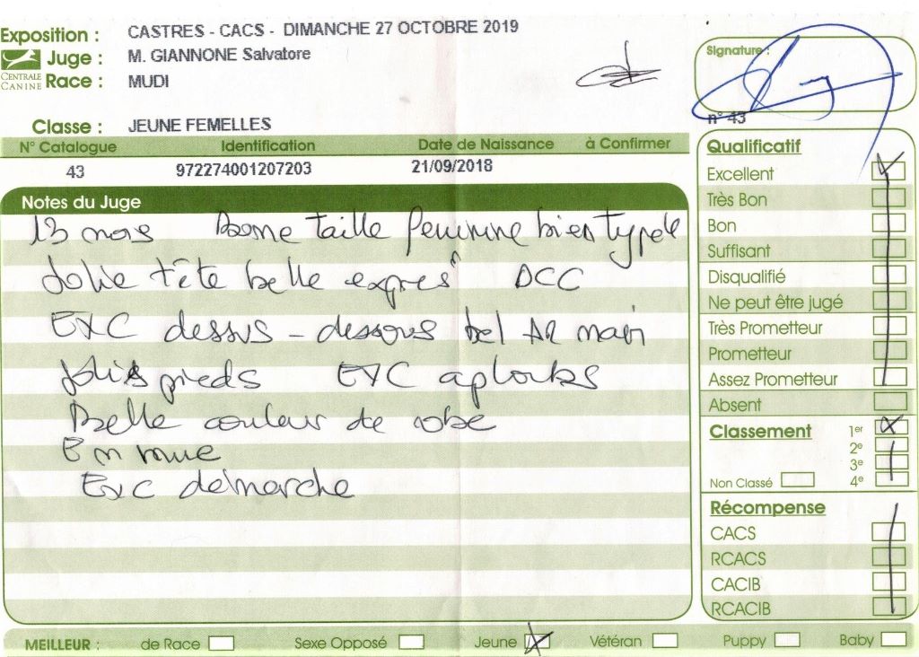 mcpotter's creek's Shine a light - 1er Excellent , Meilleur Jeune, BOG3 jeune