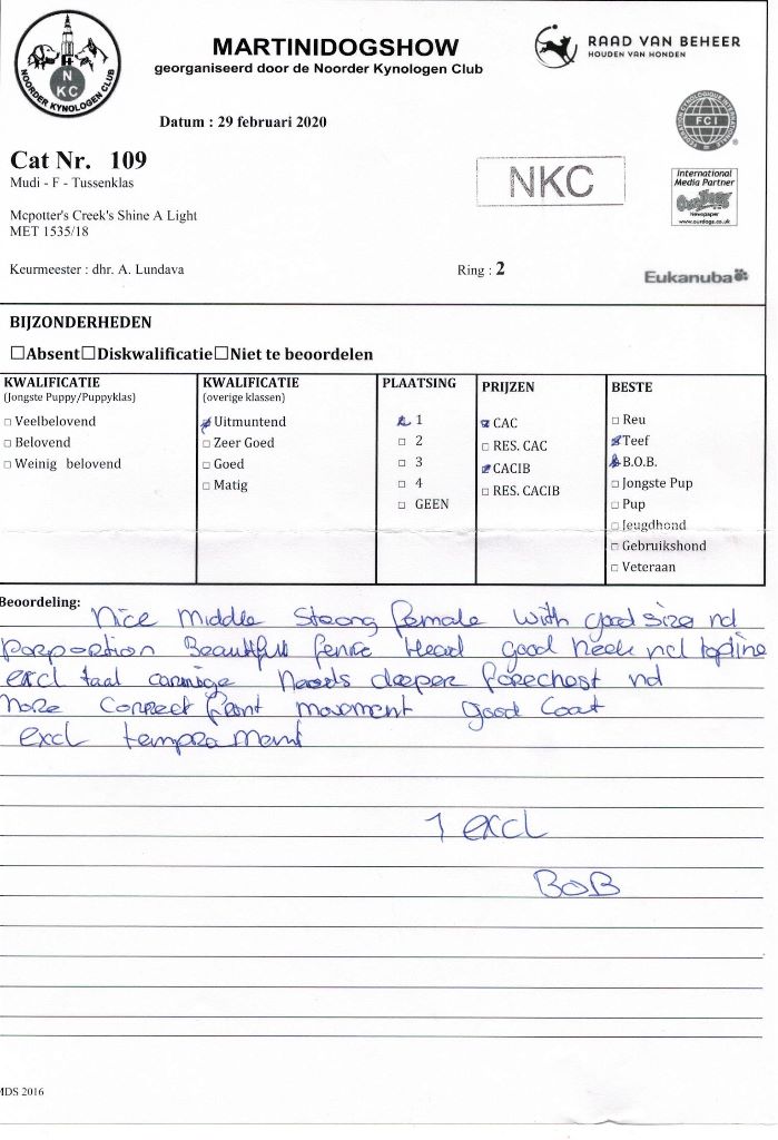 mcpotter's creek's Shine a light - 1er Excellent , CACS, CACIB, Meilleur de race