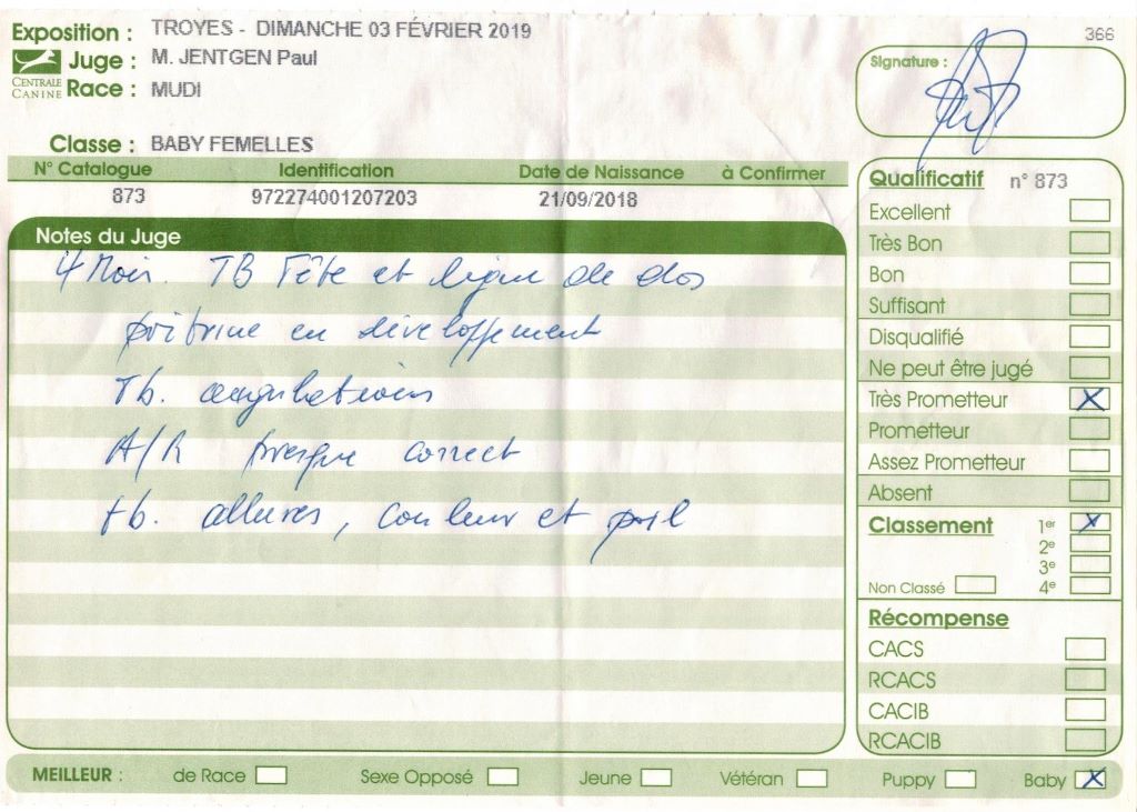 mcpotter's creek's Shine a light - Très prometteur , Meilleur Baby