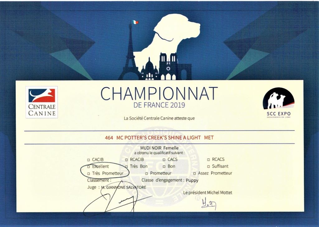 mcpotter's creek's Shine a light - Très prometteur , Meilleur Puppy