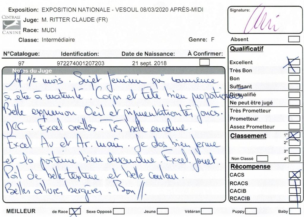 mcpotter's creek's Shine a light - 1er Excellent, CACS, Meilleure de race