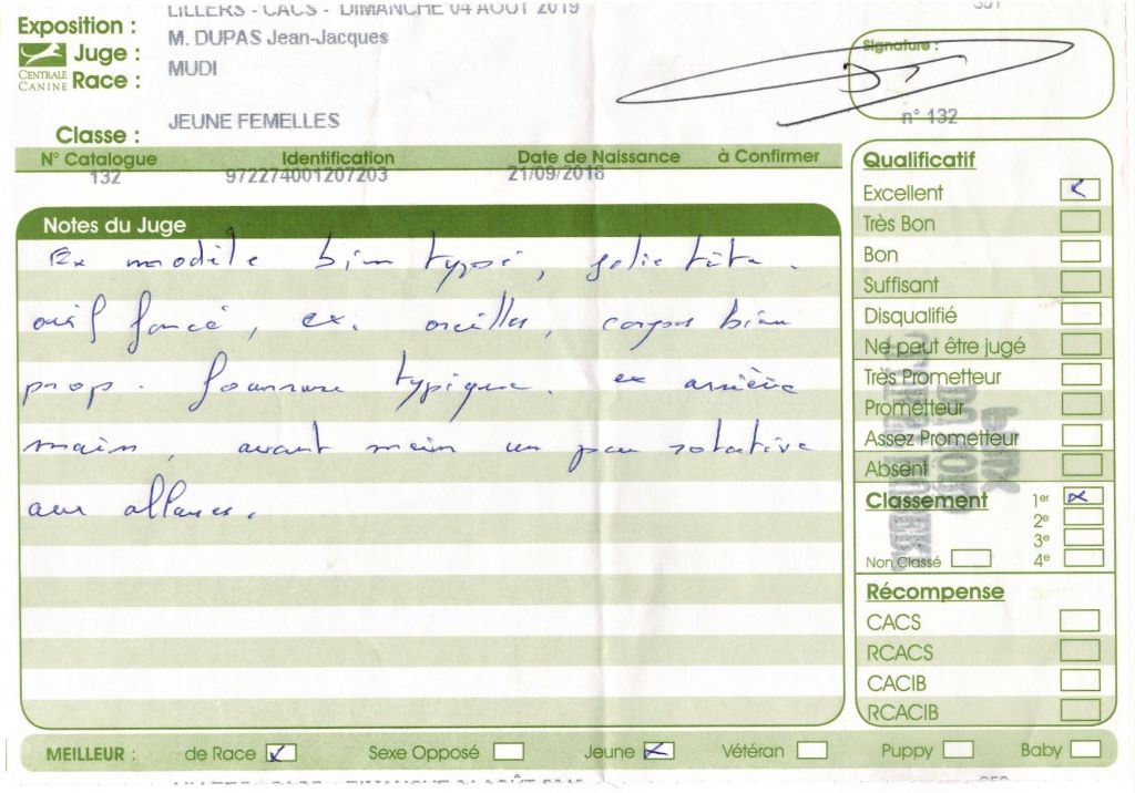 mcpotter's creek's Shine a light - 1er Excellent, Meilleur jeune, Meilleur de race