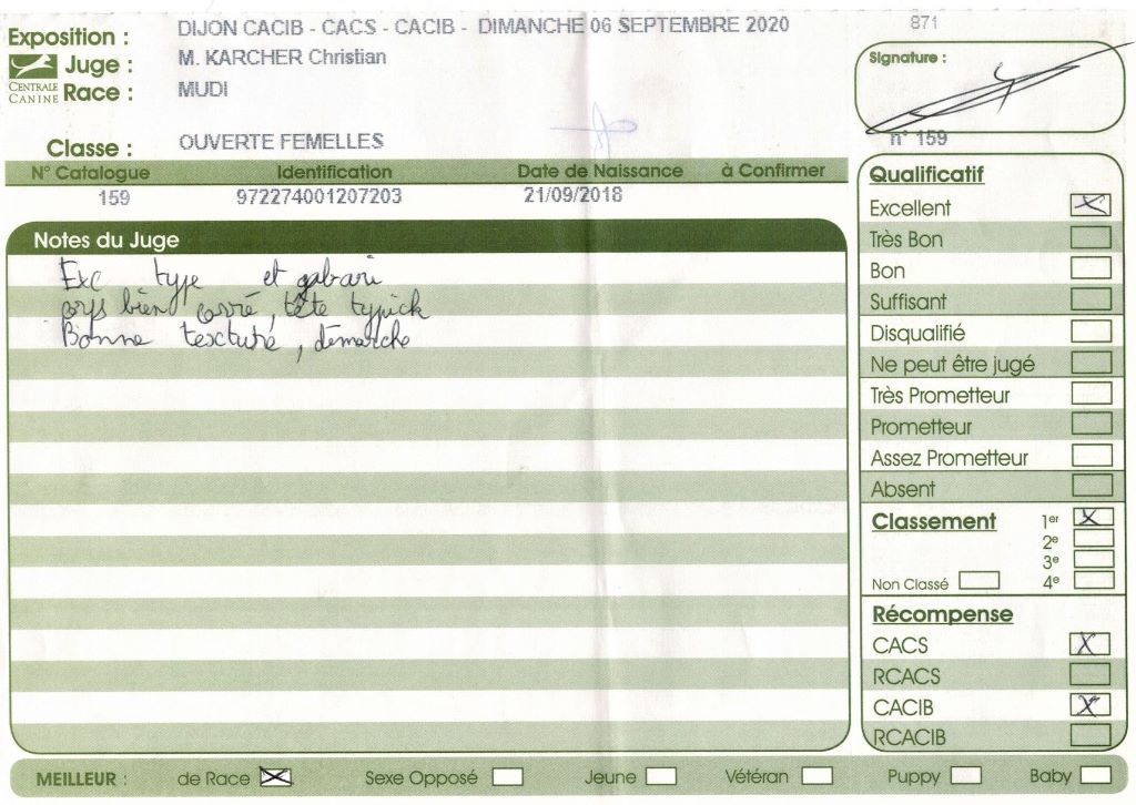 mcpotter's creek's Shine a light - 1er Excellent , CACS, CACIB, Meilleur de race