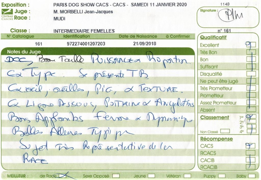 mcpotter's creek's Shine a light - 1er Excellent, CACS, Meilleure de race